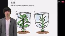 動画で学習 ３ 植物のつくりとはたらき その１ 理科